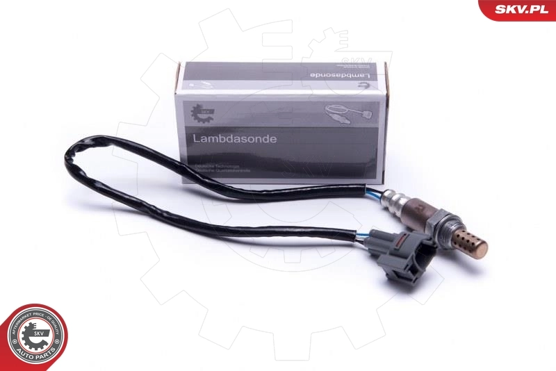 Oxygen Sensor